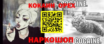 наркотики Кингисепп