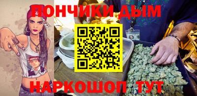 шишки Кимры