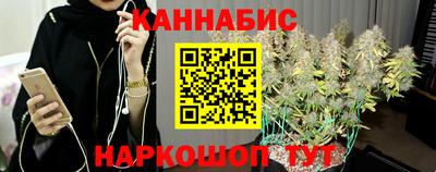 шишки Кимры