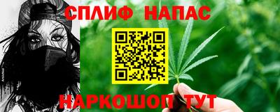 наркотики Кингисепп