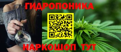 шишки Кимры