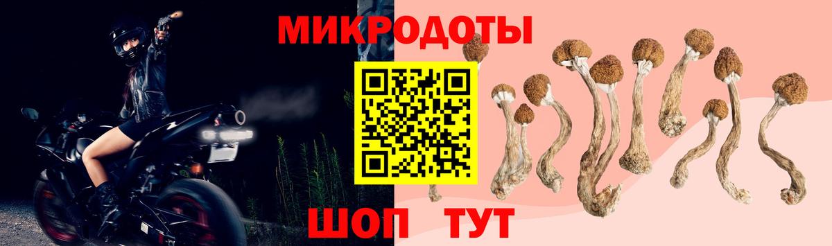 Галлюциногенные грибы ЛСД  Вход с VPN  Котлас  Псилоцибиновые грибы Magic Shrooms 